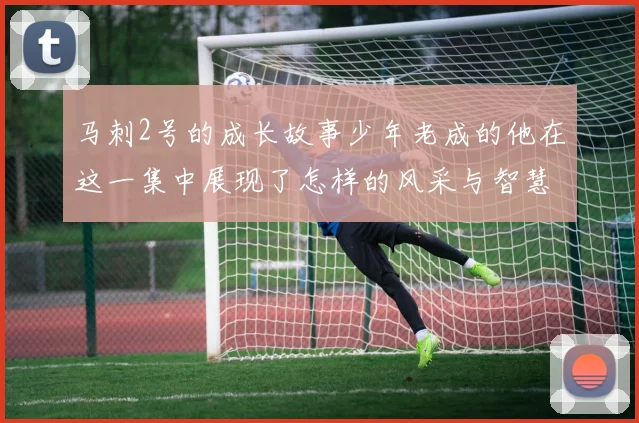 马刺2号的成长故事少年老成的他在这一集中展现了怎样的风采与智慧